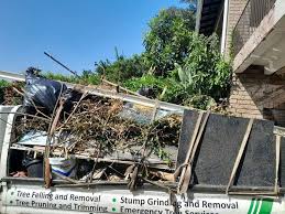 Best Dumpster Rental Services  in Llano, TX